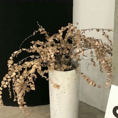 Furry插画光影灵感兽圈群